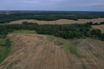 Działka Sprzedaż Prusinowo