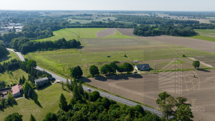 Działka Sprzedaż Maszewo 5