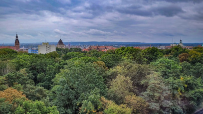 Mieszkanie Sprzedaż Szczecin Centrum Jana Matejki