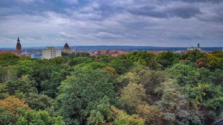 Mieszkanie Sprzedaż Szczecin Centrum Jana Matejki 4