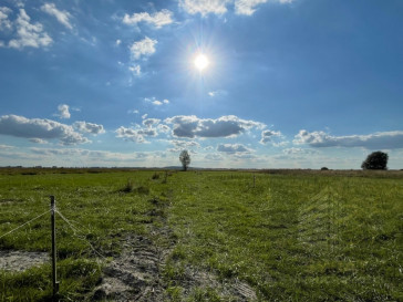Działka Sprzedaż Wierzbno