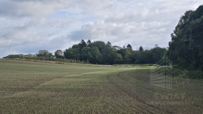 Działka Sprzedaż Niekładź