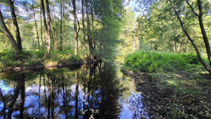 Działka Sprzedaż Staw 3