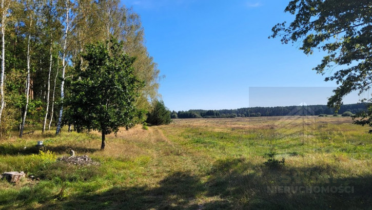 Działka Sprzedaż Staw 15