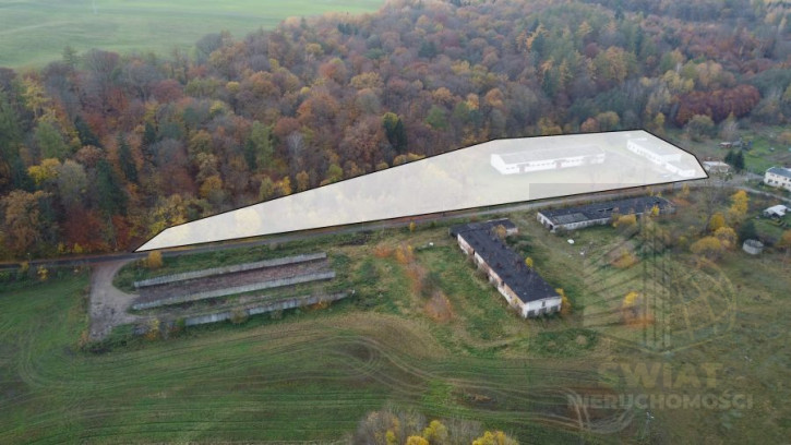 Magazyn Sprzedaż Dziwogóra 3