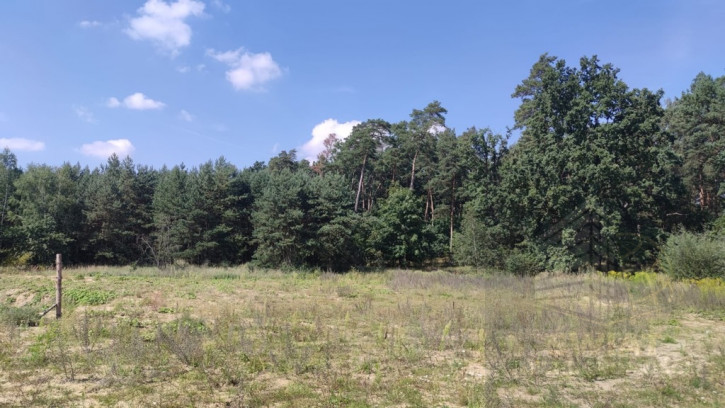 Działka Sprzedaż Kościno 1