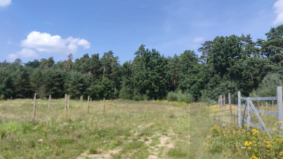 Działka Sprzedaż Kościno