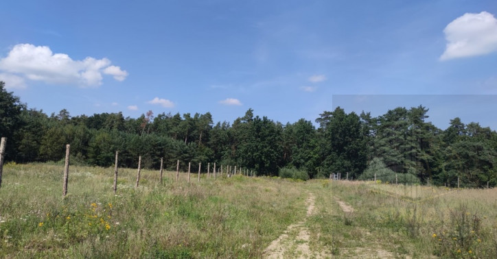 Działka Sprzedaż Kościno 4