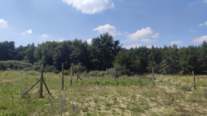 Działka Sprzedaż Kościno