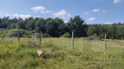 Działka Sprzedaż Kościno