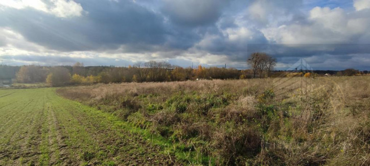 Działka Sprzedaż Goleniów 5