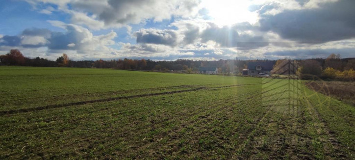 Działka Sprzedaż Goleniów 6