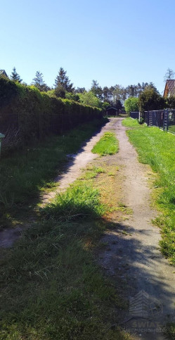 Działka Sprzedaż Modrzewie 3