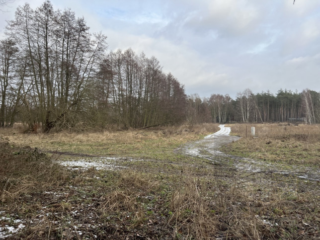 Działka Sprzedaż Brzózki 8