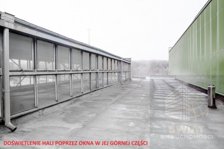 Obiekt Wynajem Szczecin 5