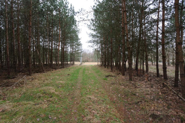 Działka Sprzedaż Krzywice 6