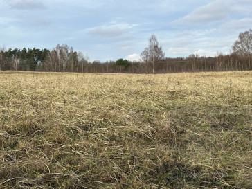 Działka Sprzedaż Storkowo