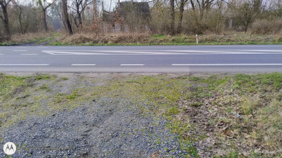 Działka Sprzedaż Dębina