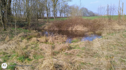 Działka Sprzedaż Dębina