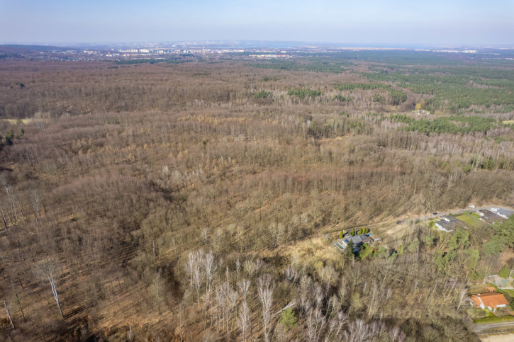 Działka Sprzedaż Szczecin Płonia 5