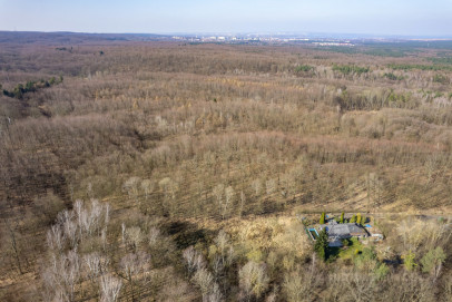 Działka Sprzedaż Szczecin Płonia