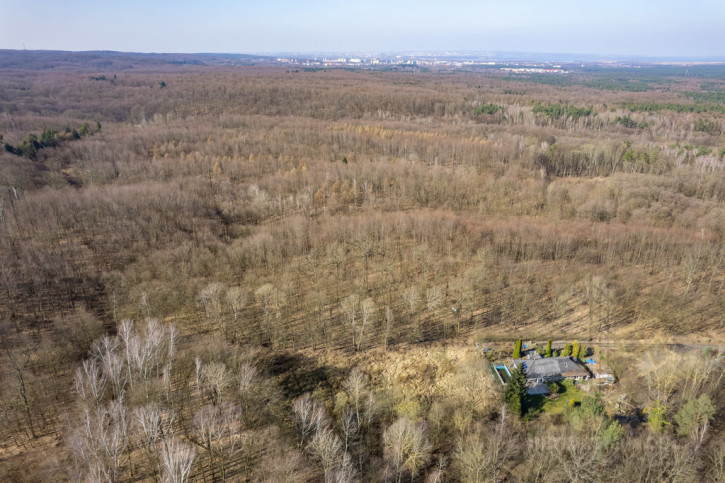 Działka Sprzedaż Szczecin Płonia 6