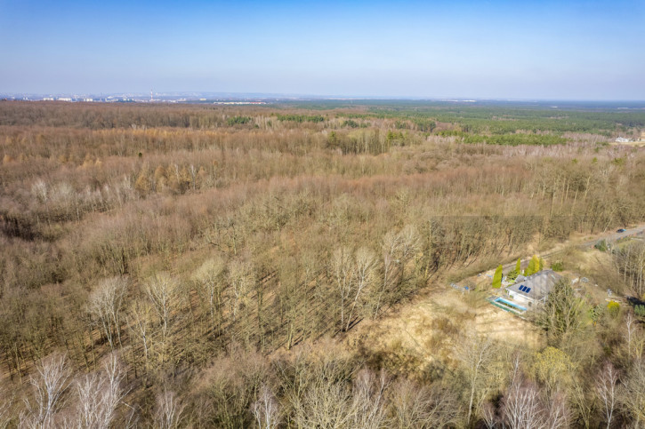 Działka Sprzedaż Szczecin Płonia 9