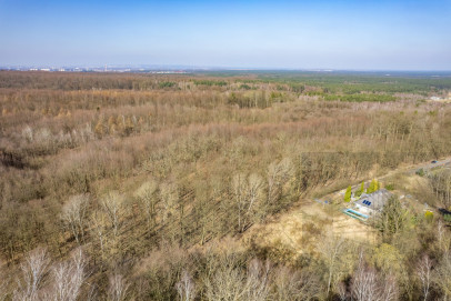 Działka Sprzedaż Szczecin Płonia