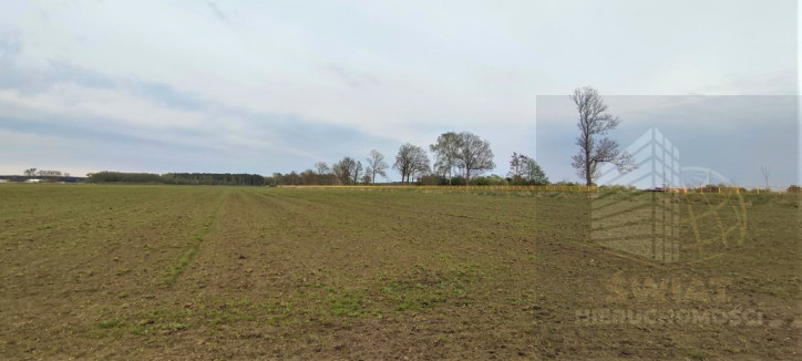 Działka Sprzedaż Lubczyna 4