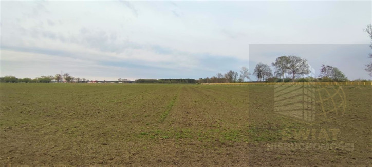 Działka Sprzedaż Lubczyna 5