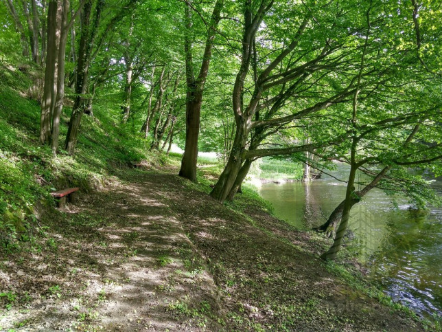 Działka Sprzedaż Barnimie 6