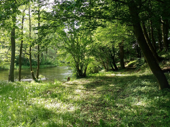 Działka Sprzedaż Barnimie 2