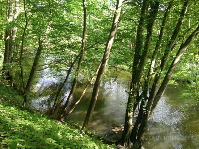 Działka Sprzedaż Barnimie 5