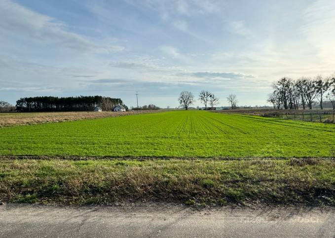 Działka Sprzedaż Borzysławiec 1