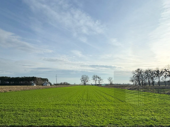 Działka Sprzedaż Borzysławiec 2