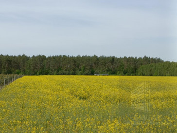Działka Sprzedaż Stawno