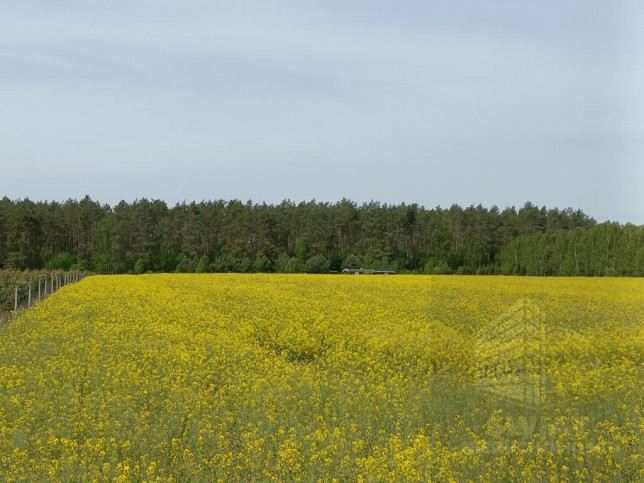 Działka Sprzedaż Stawno 5
