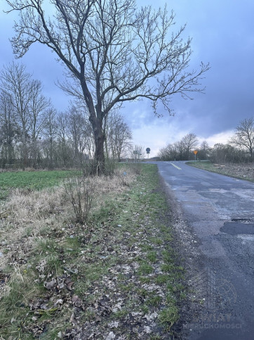Działka Sprzedaż Ryszewko 6
