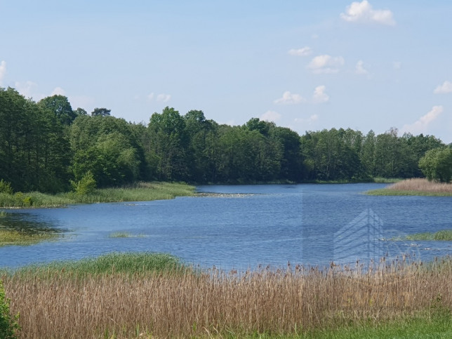 Działka Sprzedaż Zieleniewo 4