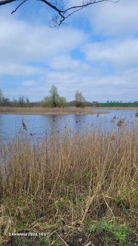 Działka Sprzedaż Zieleniewo 1