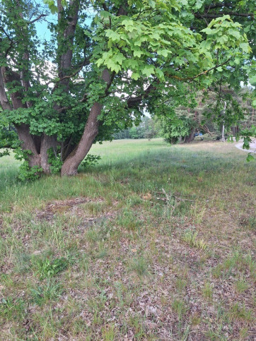 Działka Sprzedaż Tanowo Szczecińska 8
