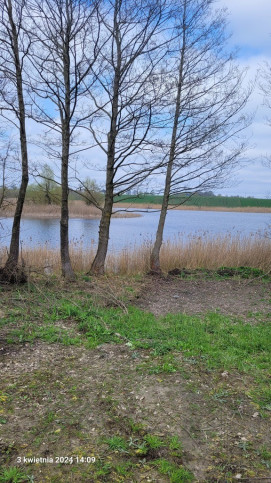 Działka Sprzedaż Zieleniewo 2