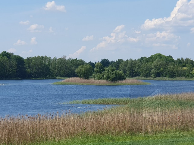 Działka Sprzedaż Zieleniewo 1