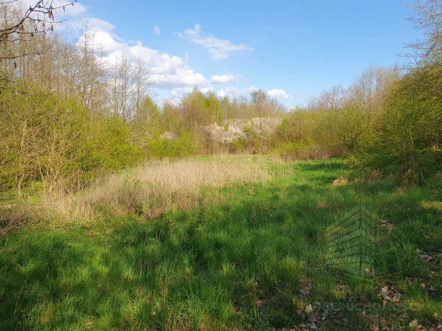 Działka Sprzedaż Zieleniewo 8