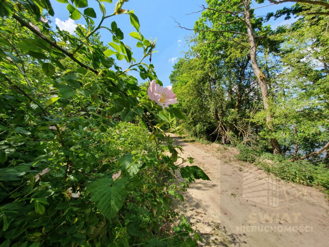 Działka Sprzedaż Zieleniewo 7