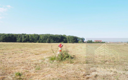 Działka Sprzedaż Śliwin