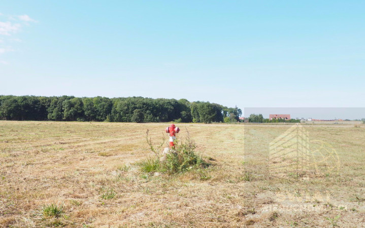 Działka Sprzedaż Śliwin 1