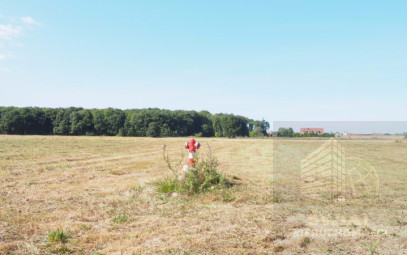 Działka Sprzedaż Śliwin