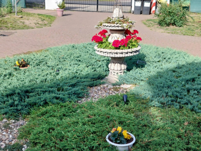 Dom Sprzedaż Pniewo Gryfińska 48