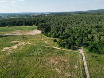Działka Sprzedaż Daleszewo
